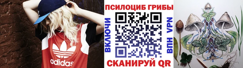 Галлюциногенные грибы ЛСД  Купить  Холмск